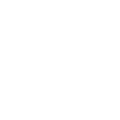 Arrest-icon Arrest-icon