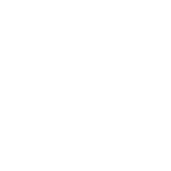 Defense-icon Graphic of a white shield with an "x' in the middle of it