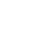 Theft-icon Theft-icon